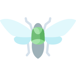 Cicada icon