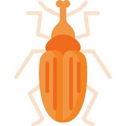 rüsselkäfer icon