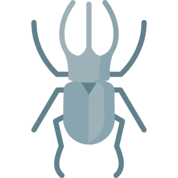 Beetle icon