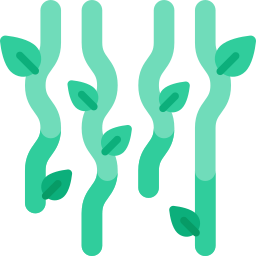 Vines icon