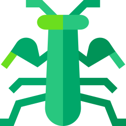 Mantis icon