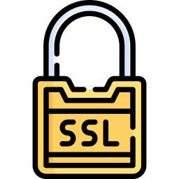 ssl Icône