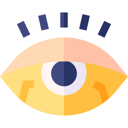 Eyes icon