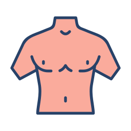 torso icono