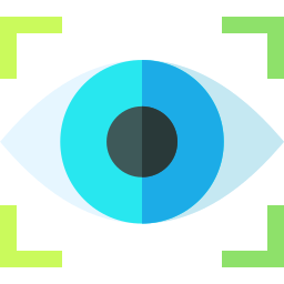 Vision icon