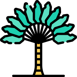 ravenala-palm icoon