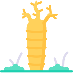 arboreto de antsokay icono