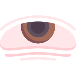 ojo icono