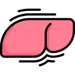 Liver icon