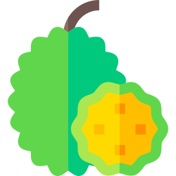 jackfruit icoon