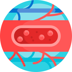 혈관 icon