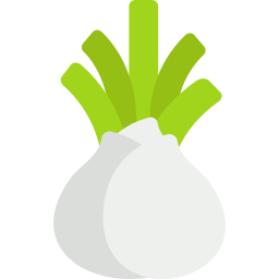 Fennel icon