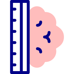 Brain icon