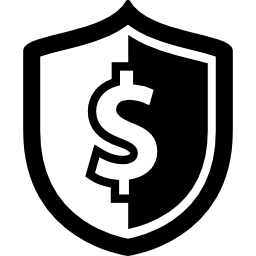 simbolo di sicurezza di denaro su uno scudo icona
