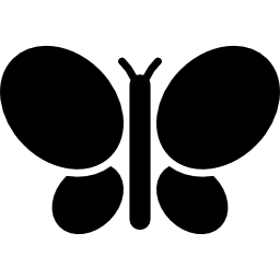 vista superior da borboleta Ícone