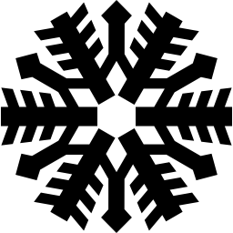 Snowflake shape icon