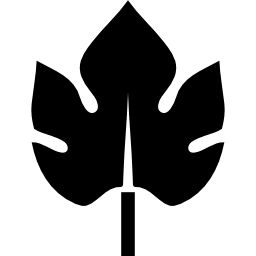 kształt części rośliny liściastej ikona