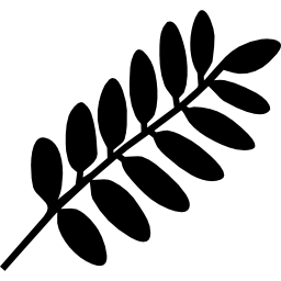 foglie su un ramo di forma diagonale icona