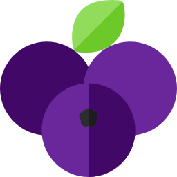 Blueberry icon