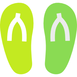 Flip flop icon