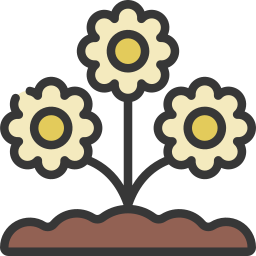 gänseblümchen icon