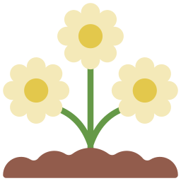 Daisies icon