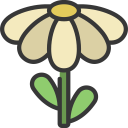 Daisy icon