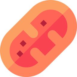 mitochondrien icon