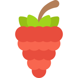 Raspberry icon