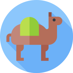 Dromedary icon