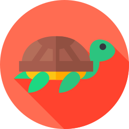 Tortoise icon