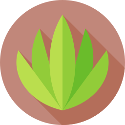 植物 icon