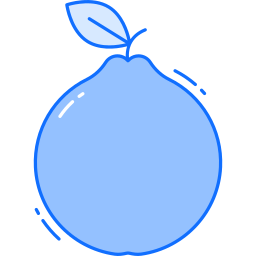 Guava icon