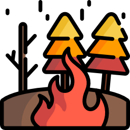 feuer icon