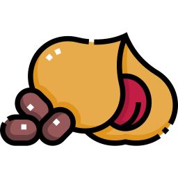 Nutmeg icon