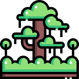 Rainforest icon