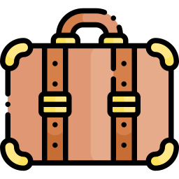 Travel bag icon