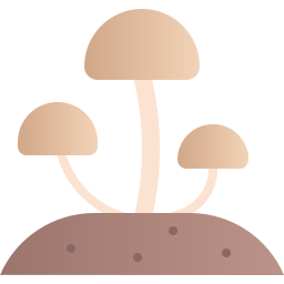 champignon Icône