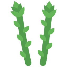 Asparagus icon