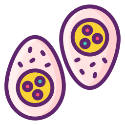 huevos icono