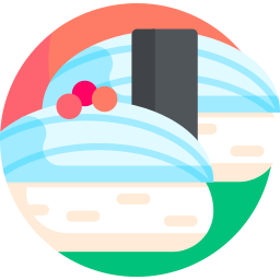 Nigiri icon