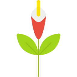 gladiolen icoon