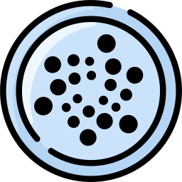 Coin icon