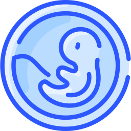 embryon Icône