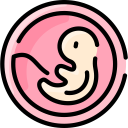 embrião Ícone