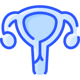 uterus icon