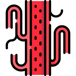 vascular icono