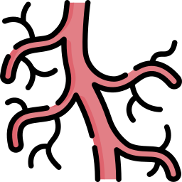 vasculaire Icône