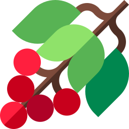 Coffee plant icon