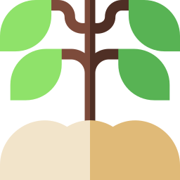 Coffee plant icon